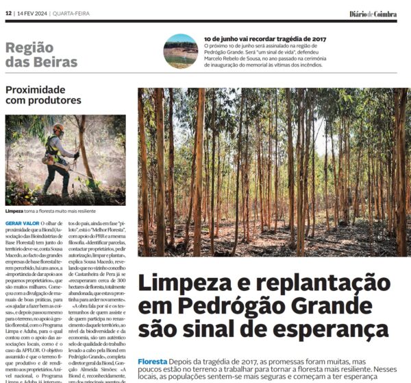 20240214_DiarioDeCoimbra_LimpezaReplantacaoPedrogaoGrande